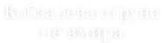 Кобзарева струна  не вмира